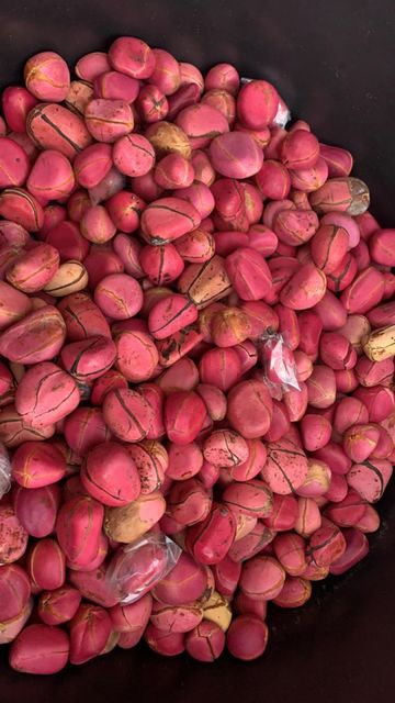 Fresh Obi Abata kolanut(four eyes lobe) - Image 3