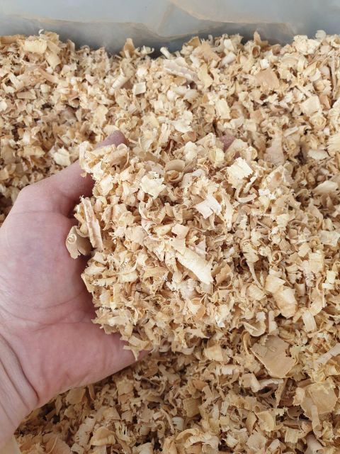 premium Pine wood shavings - Image 1