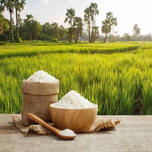Premium Organic Aromatic Basmati Rice Hard Texture Fast Delivery From Reliable Exporter White Long Grain for Cooking - Image 3
