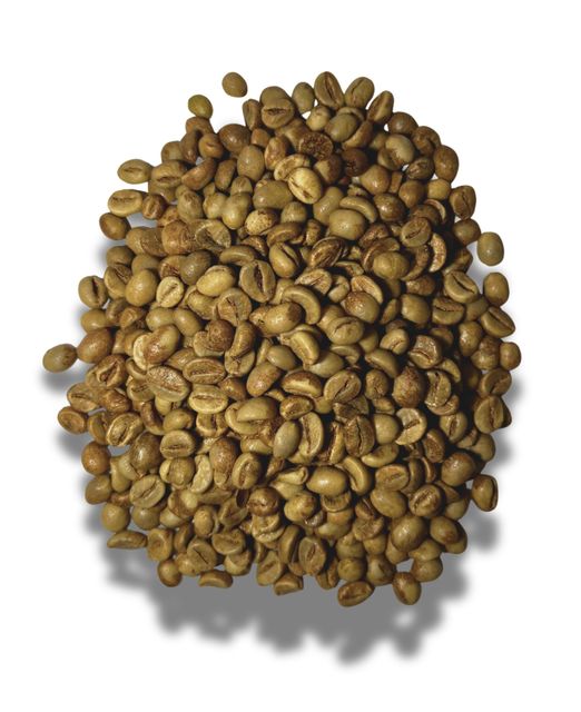 Global Agrinesia Abadi – Authentic Java Origin Green Coffee Beans Arabica & Robusta | Indonesian Terroir Series – product photo 3, product detail gallery
