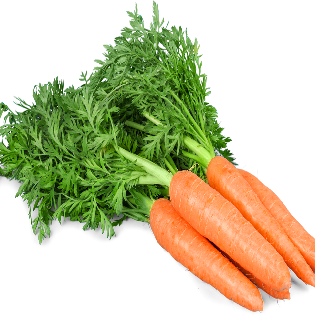 Premium natural carrots fresh harvested sweet crunchy texture vegetable sourced from organic farms ready for - Image 3