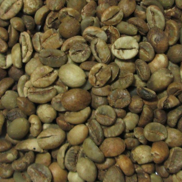 Robusta Coffee Beans 60kg Jute Bag G1 Raw Coffee S16 Wet Polished Green Coffee Bean - Image 2