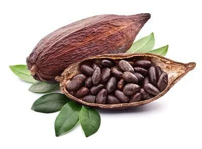 Wholesale Supplier Of Bulk Fresh Stock of Raw Dried Cocoa Beans - Image 4