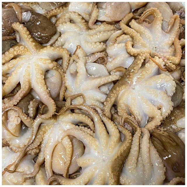 Fresh And Frozen Seafood Octopus Frozen Octopus For Sale. - Image 2