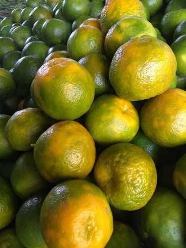 Citrus reticulata mandarin Packaging 3 ply corrugated box Shelf Life Custom packagaing for extended shelf - Image 1