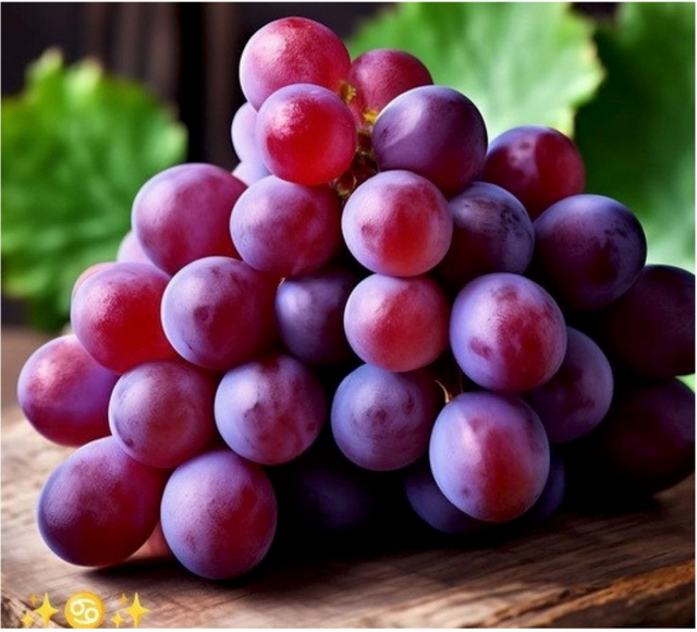 GRAPES - Image 3