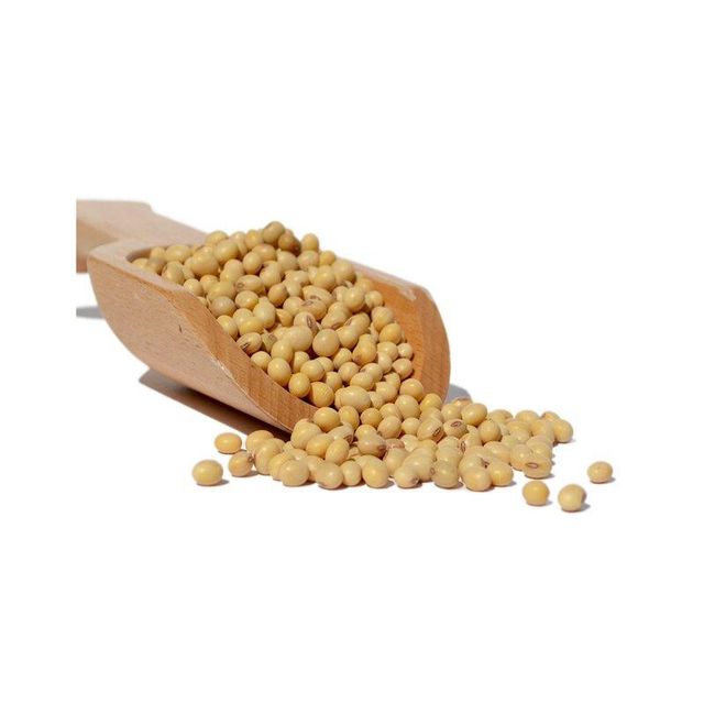 soybeans available at wholesale price for food distributors and global exporters - Image 3