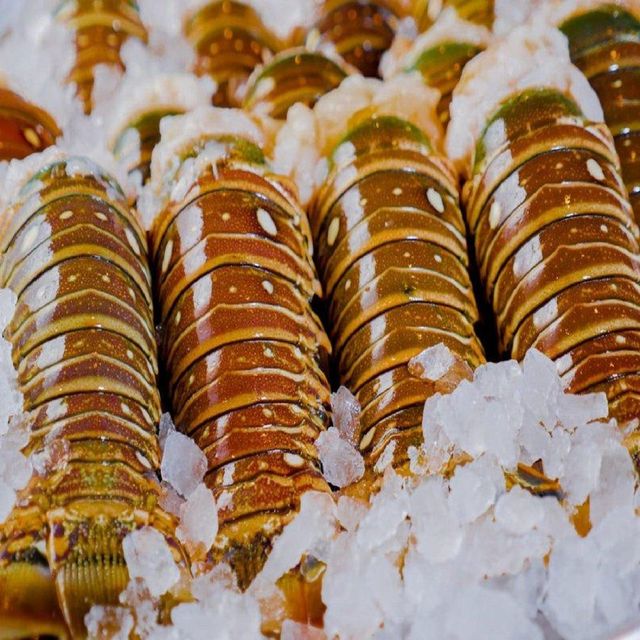 Fresh Frozen Crawfish Raw Live Brazilian Slipper Lobster Pure Natural Whole in Box with Highest Export Quality 5kg 7.5cm - Image 1