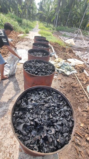 Natural Coconut Shell Charcoal Grade Premium Moisture 5%% Max Sparks No Sparks Packaging PP Bag Hardness 85%% Min Ash Content 3%% Max - Image 3