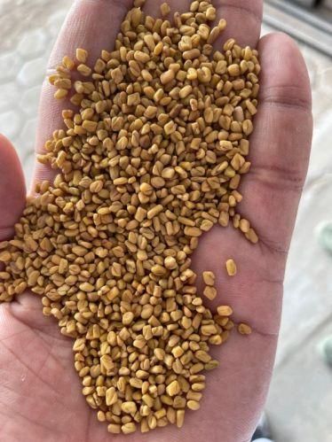 Fenugreek Seeds – India Origin | 99.5% Purity | Non-GMO Hs Code 09109912 Form Whole Seeds Moisture Max 10% Admixture Max - Image 4