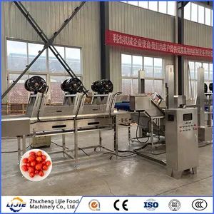 Fruit and Vegetable Processing Fresh Tomato Bubble Cleaning Washing Machine - Image 5