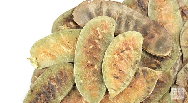 Senna Pods (Cassia angustifolia), Premium Export Quality, India - Image 4