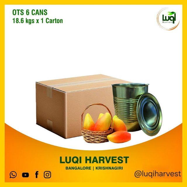 Totapuri Mango Pulp 3.1kg Canning - Image 1