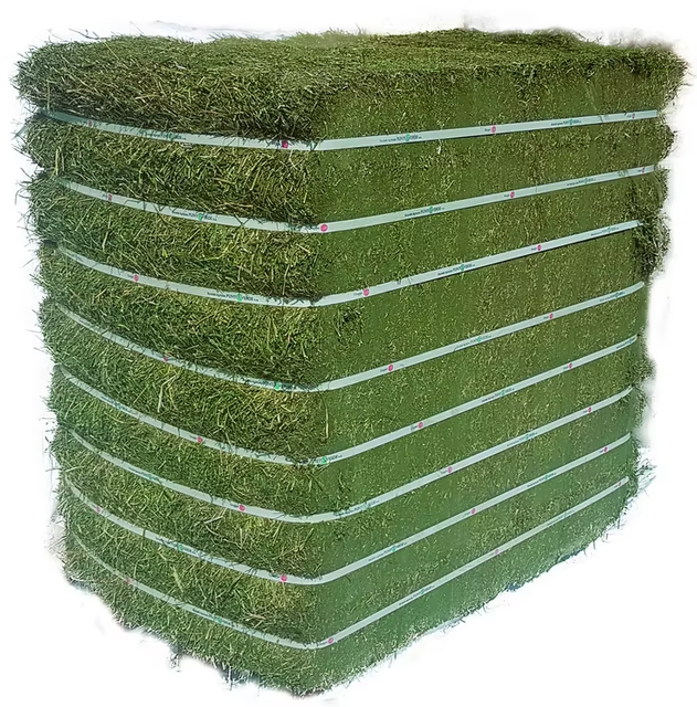 Organic Quality Alfalfa Hay For Animal Feed Natural Green Fodder Alfalfa Hay For Dairy Farms And Livestock Growth Export Ready - Image 4