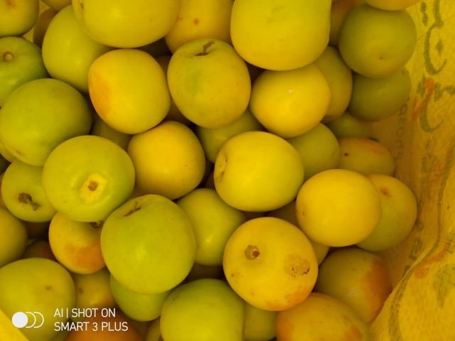Fruits – product photo 3, product detail gallery