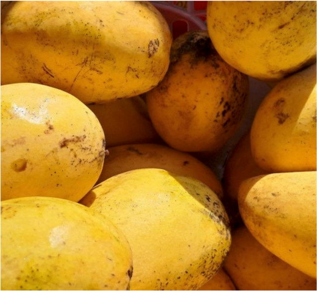 Mangos - Image 4