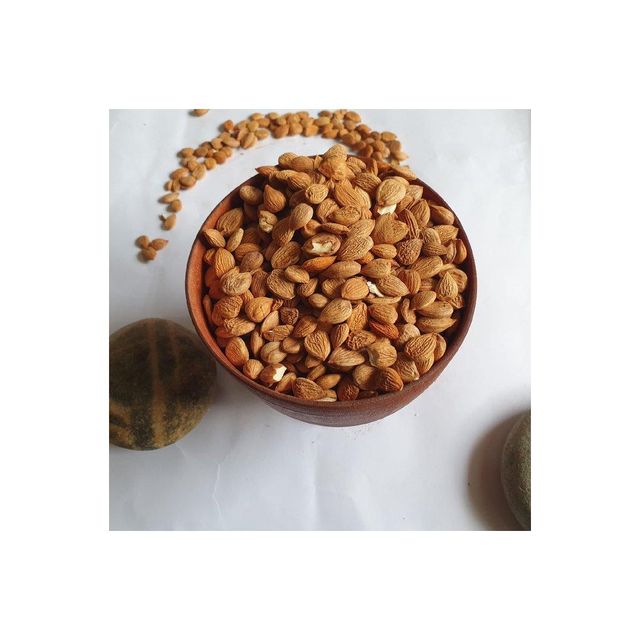 Apricot kernels available for sale in bulk at competitive wholesale price - Image 4