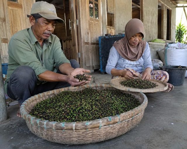Whole Black Pepper - Image 3