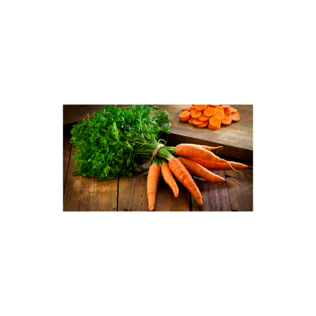 Premium quality carrots freshly harvested and packed for export markets - Image 3