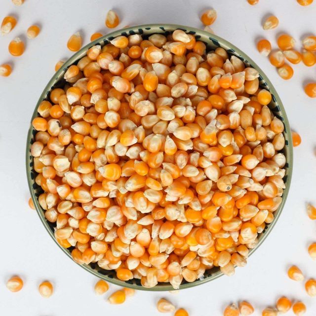 Brazilian Yellow Corn frozenchickenexports.com – product photo 2, product detail gallery