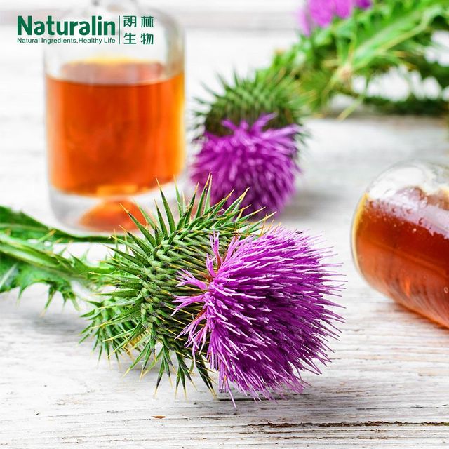 Milk Thistle Extract - Image 5