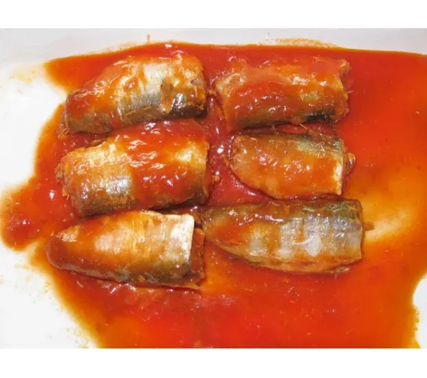 Ready-to-Eat Sardine Fish in Tomato Sauce – Wholesale Supply worldwide delivery - Image 4