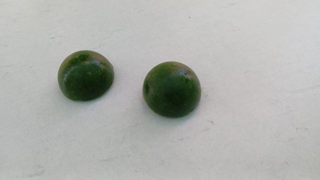 spinach ( cube , blanched cube ) – product photo 4, product detail gallery