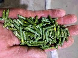 premium Alfafa Hay for Animal Feeding Stuff Alfalfa - Alfalfa Hay /Alfalfa Hay pellets - Image 5