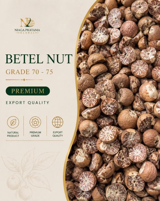 Dried Betel Nut (Areca Nut) Split / Whole Grade 80-85 Export Quality - Premium Indonesia - Image 3