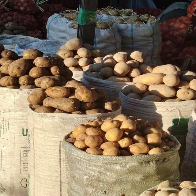 Selected Fresh Potatoes For Grocery Stores Restaurants And Food Businesses With Attractive Appearance - Image 1