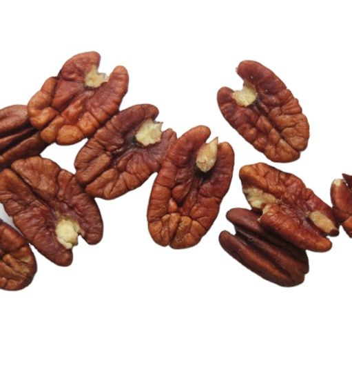 Good price high quality raw roasted Pecan kernel pecan nut Grade high Style Dried Content seed Shelf Life 1 Packaging - Image 1