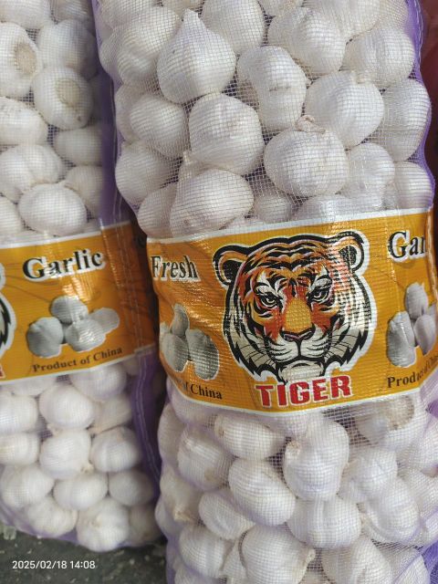 Premium Jinxiang White Garlic 4.5–6.5cm – Fresh Bulk Garlic Supply - Image 2