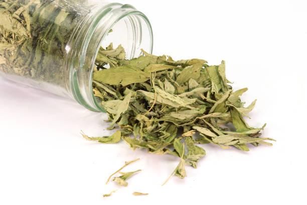 Stevia Leaves, Sun-Dried Green Grade, Indian Origin Origin India Shape Leaf Shaped. Maximum Moisture 10% Shelf Life 24 Months. - Image 3