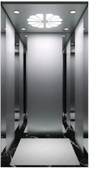 Syney Promotion High Quality Compact Structure Villa Elevator for Existed Constructions - Image 5