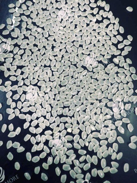 Japonica Sushi Rice, High Quality, 5% Broken - Image 1