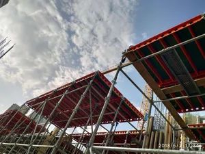 Customizable Slab Formwork, Ceiling, Roofing Formwork, and Concrete Formwork Options - Image 6