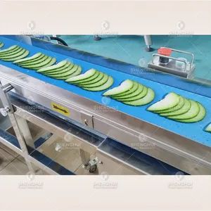 Large Output Fresh Meat Cutting Machine Pork Meat Slicing Machine Meat Slicer Food Processing Equipment - Image 5