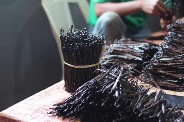 Vanilla Beans 16-19mm in Stock Low Price Best Selling Pure Quality Vanilla Ready for Export Wholesale for Sale - Image 4