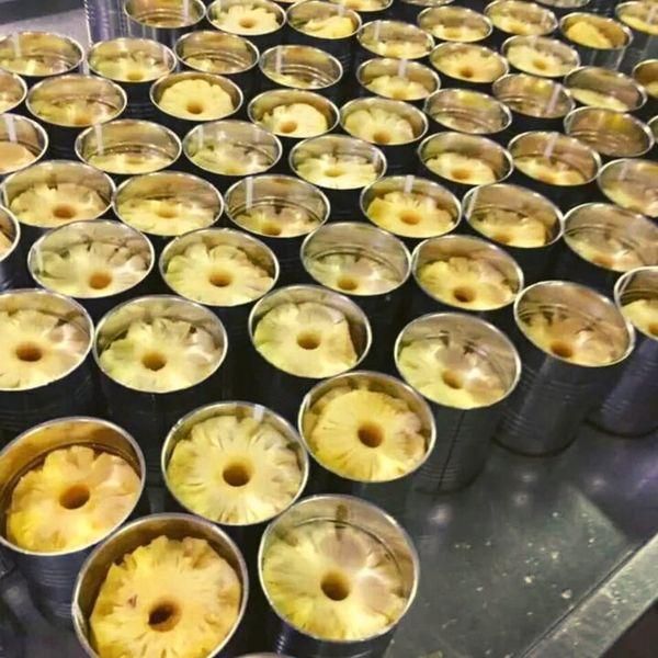 Premium Canned Pineapple Slices Chunks Tidbits in Syrup Bulk Packing for Wholesale Export - Image 3