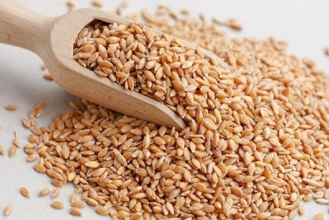 Premium Quality Milling Wheat Wholesale Supply At Factory Price For Sale - Image 3