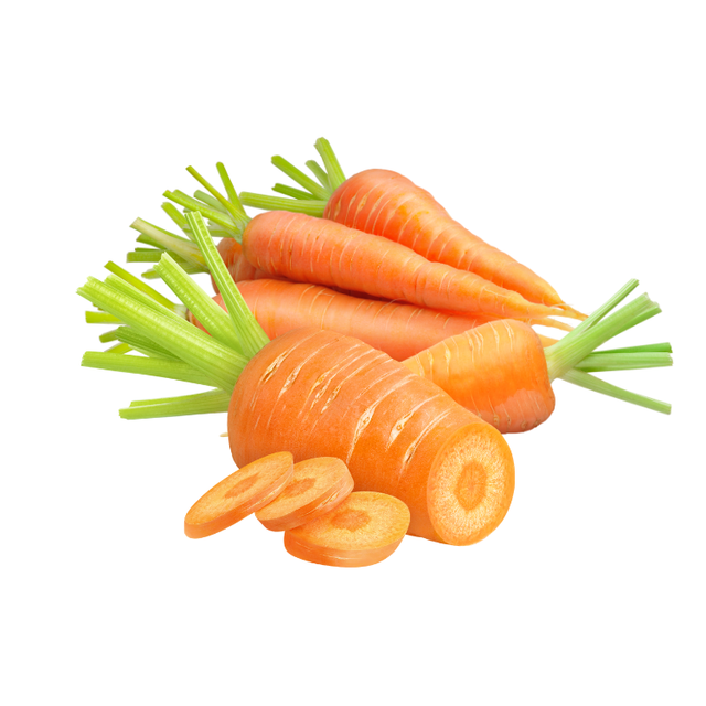Vietnam fresh carrots high quality - Image 2