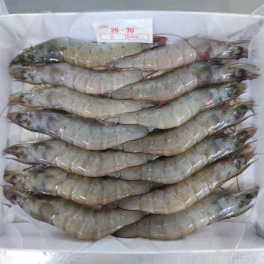 Premium HLSO Vannamei Shrimp – Frozen, Export Quality, Multiple Sizes Available - Image 2
