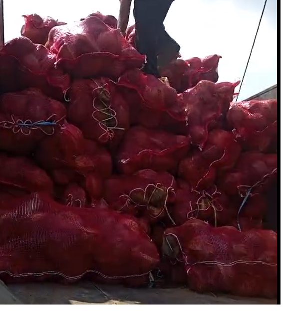 Fresh Coconut Organic Natural Grade Mix Grade Color Light Brown Packaging Net Bag Port Jakarta-Indonesia Weight (kg) 700 Gram Up - Image 3