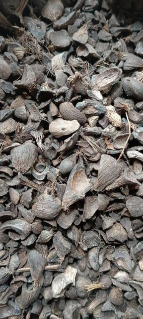 Palm Kernel Shell (PKS) - Image 2