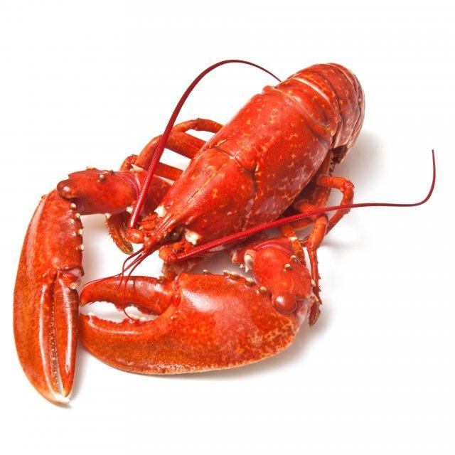 Frozen Fresh Jumbo Size Live Rock Lobster Green Lobster with Whole Tail in Box Cooked and Dried Styles for Food - Image 5