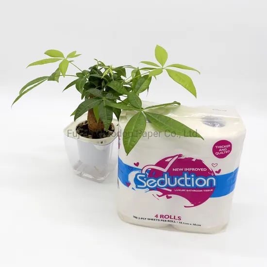 Toilet Paper in 4-Grain Rolls Biodegradable Embossed Toilet Paper - Image 4