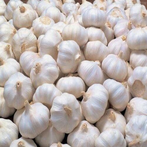 Pure Fresh Garlic 6.0cm Large White Garlic Bulbs Cheap Bulk Wholesale Supply - Image 5