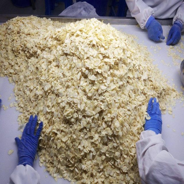 Top grade Dehydrated Garlic Granules/ Garlic Powder/ Garlic Flakes Whole Sale Price - Image 3