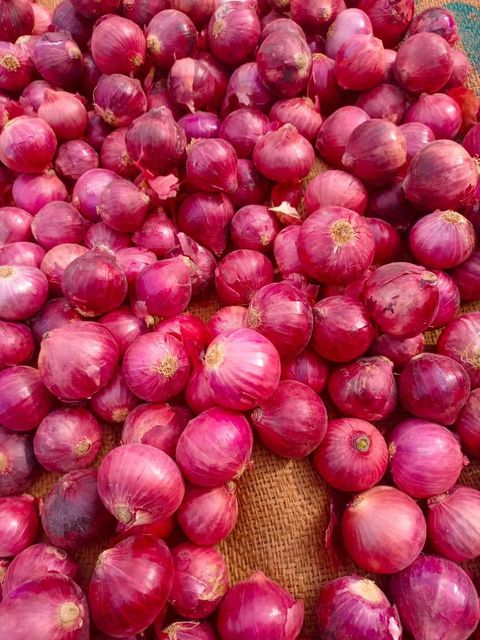 Fresh Agriculture - Image 3