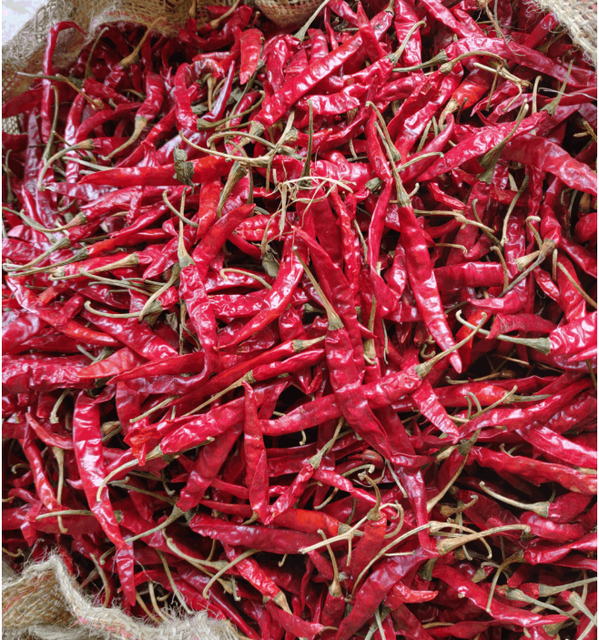Guntur Teja S17 Chillies Color Vivid Form Dry Chilies Brand Name INDIA Heat Level Intense Flavor Strong And Fragrant Packaging customized packaging - Image 1